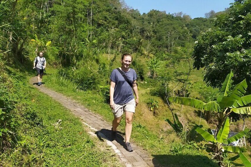 Rice Terraces