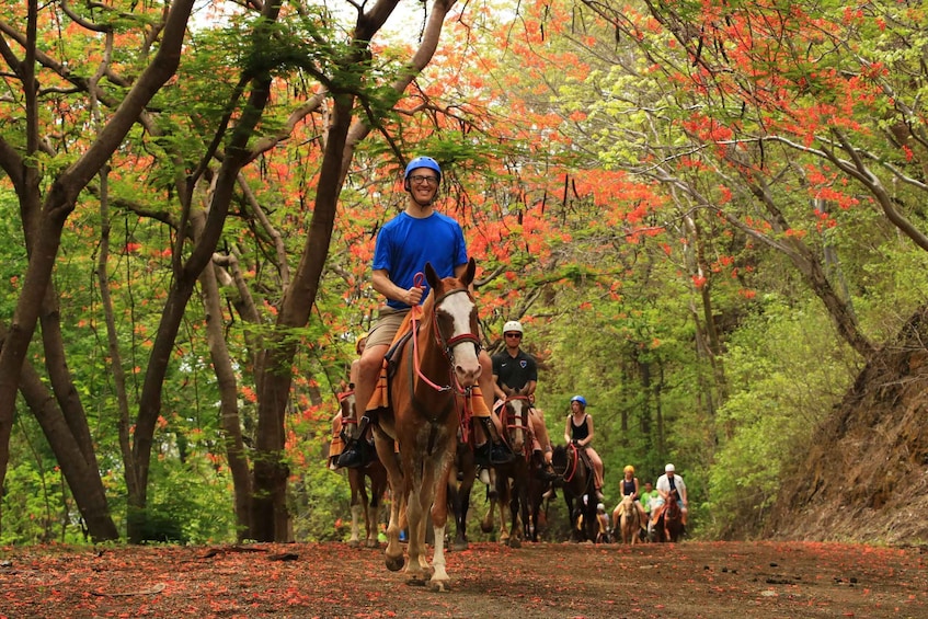 Picture 8 for Activity Playa Matapalo: Scenic Horseback Riding Adventure