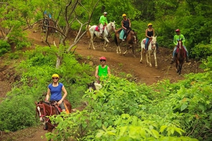 Playa Matapalo: Maisemallinen ratsastusseikkailu hevosen selässä