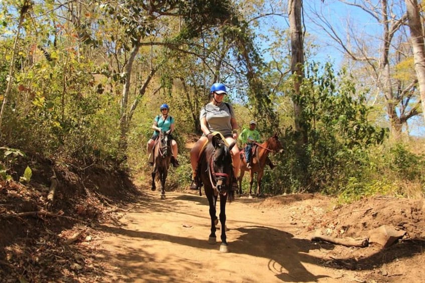 Picture 7 for Activity Playa Matapalo: Scenic Horseback Riding Adventure
