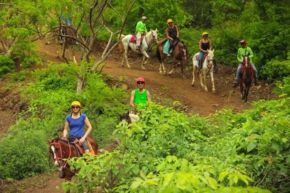 Playa Matapalo: Aventura panorámica a caballo