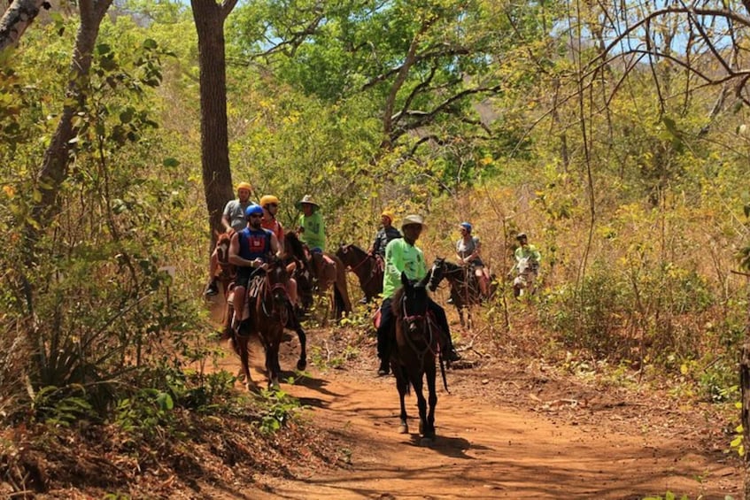 Picture 6 for Activity Playa Matapalo: Scenic Horseback Riding Adventure