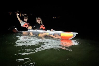Private Bioluminescence Tour by clear Kayak in Holbox