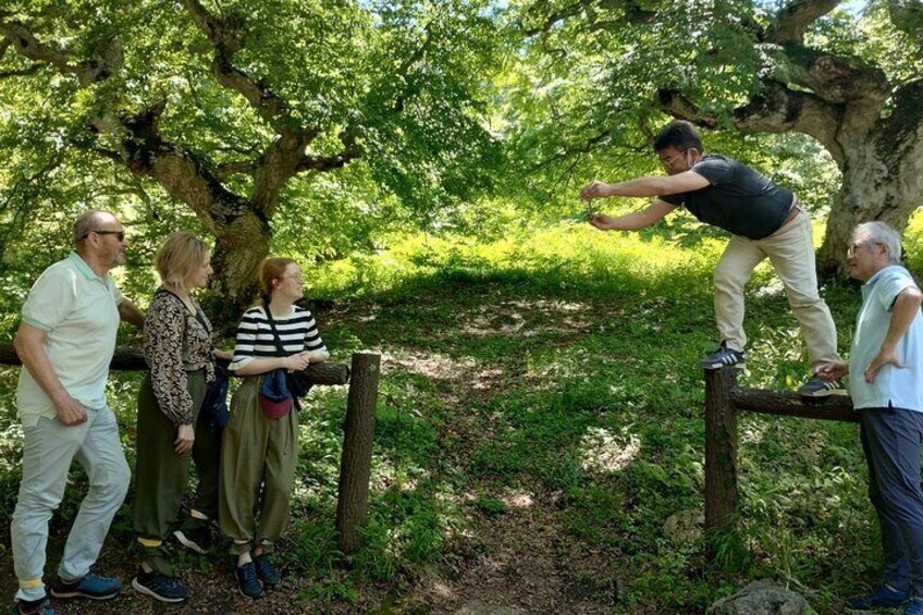 Unexpectedly, a passing photographer offers to take pictures for the guests.