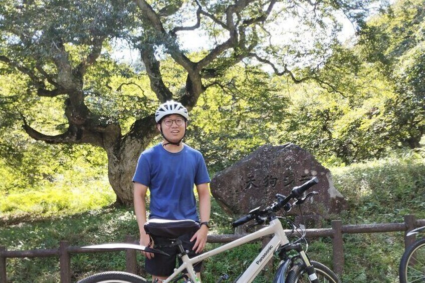 Taken during the summer, posing contentedly in front of the protected grove.