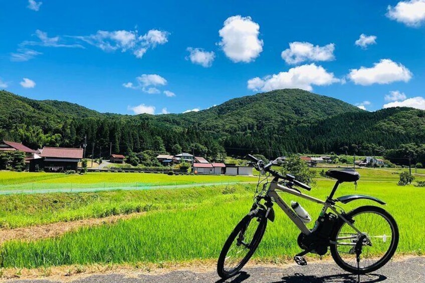 Summer Countryside