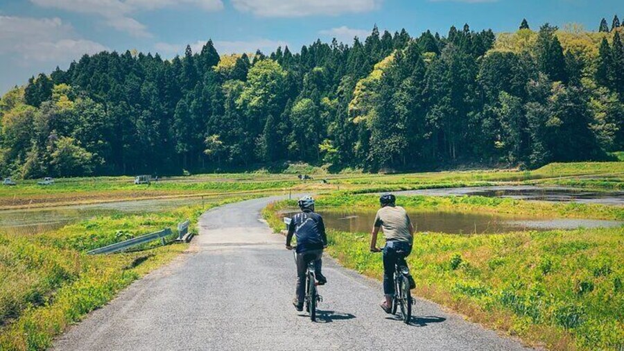 Absolutely picturesque spring ride
