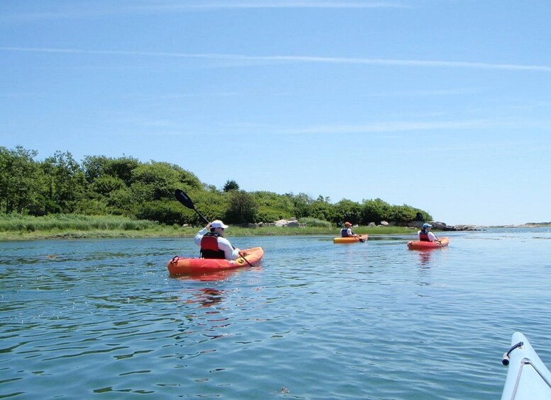 Biddeford Pool: Half Day Kayak or SUP Rental