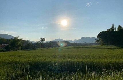 Luang Prabang : Cours de cuisine en soirée et cérémonie locale du Baci