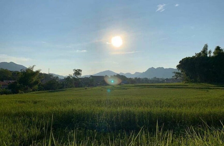 Luang Prabang: Evening Cooking Class & Local Baci Ceremony