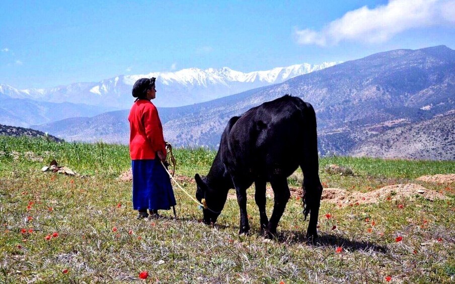 2 Day Trek In Atlas with Locals.. / virgin Villages