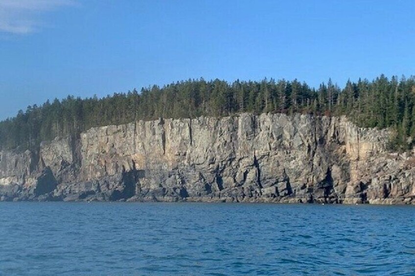 Private Sightseeing Charter in Frenchman Bay