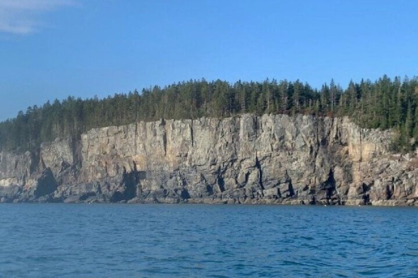Private Sightseeing Charter in Frenchman Bay