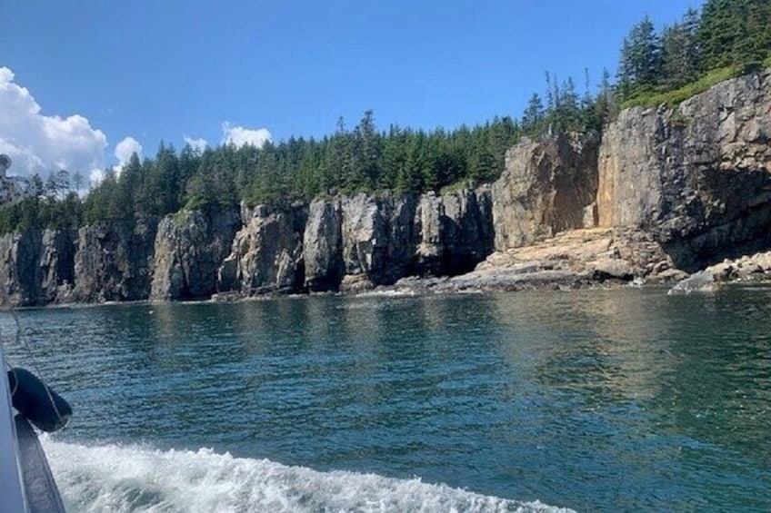 Private Sightseeing Charter in Frenchman Bay