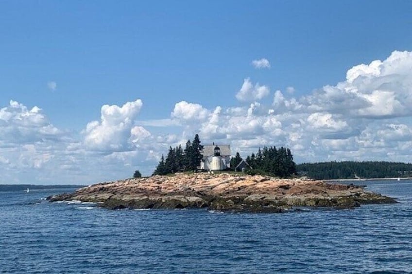 Private Sightseeing Charter in Frenchman Bay