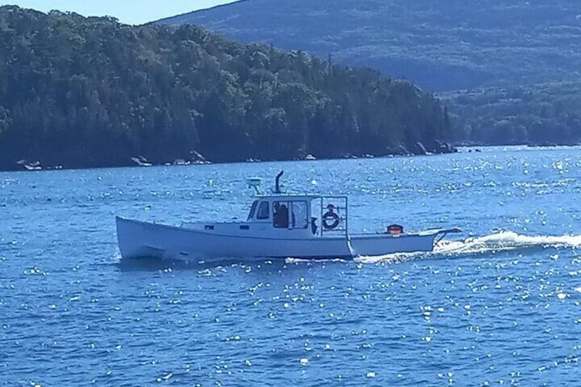 Private Sightseeing Charter in Frenchman Bay