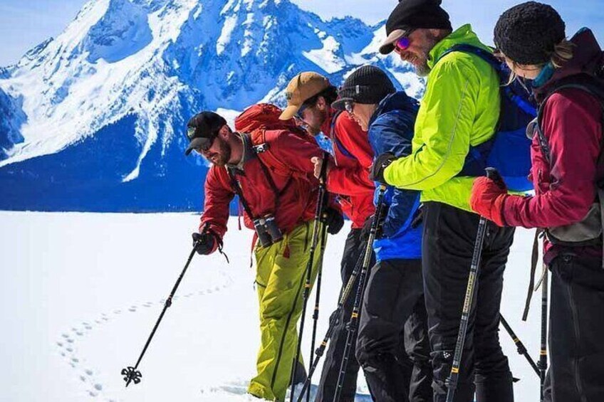 4 hour Snowshoe in Grand Teton National Park