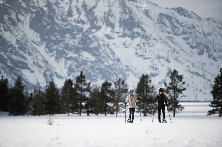 4 hour Snowshoe in Grand Teton National Park