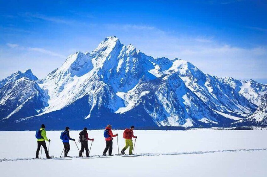 8 Hour Combination Snowshoe & Wildlife Viewing in Grand Teton National Park