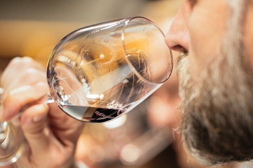 Expert Sommelier Languedoc Wine Masterclass