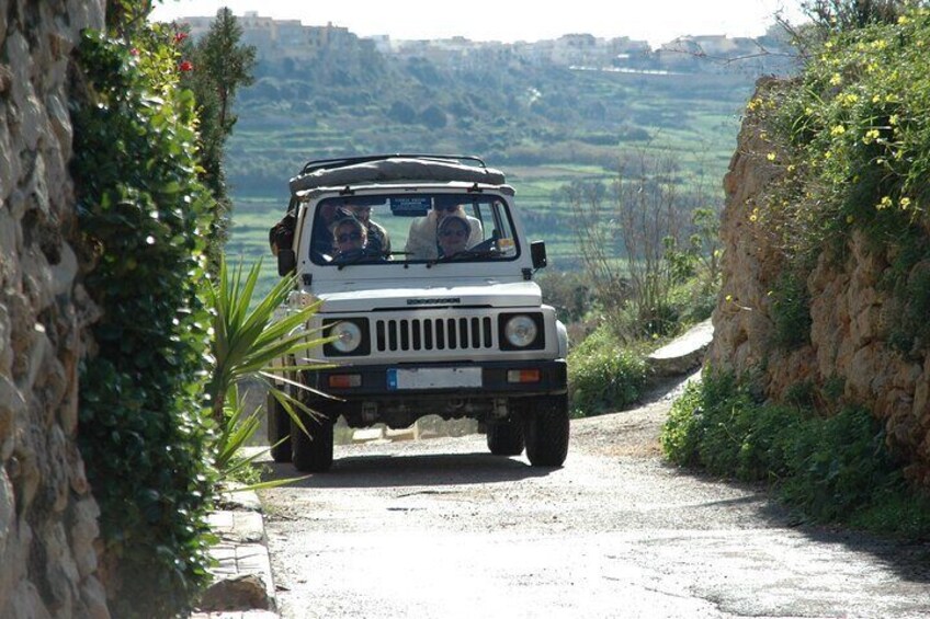 Enjoy Gozo's best landscapes
