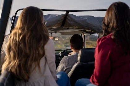 Privat Jeep Tour i Gozo (Full Day)