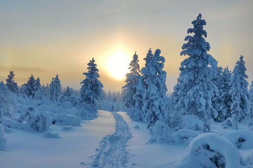 Winter DayHike to Inari Wilderness