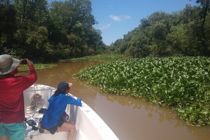 4-Hour Private Boat Tour in Tigre