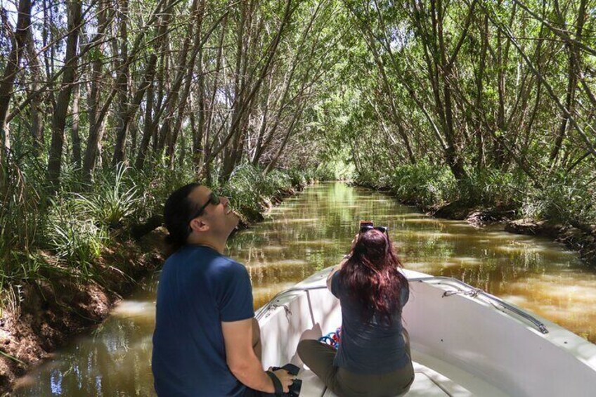 Safari náutico en tigre