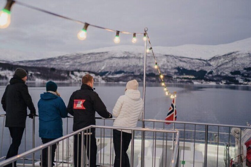 Tromsø, Northern Lights and Wilderness Evening Catamaran Cruise