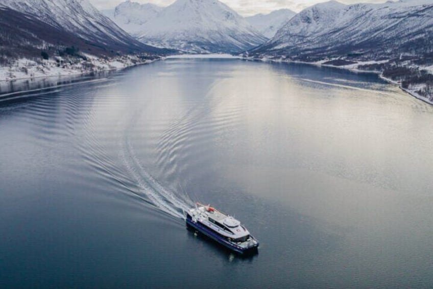 Tromsø, Northern Lights and Wilderness Evening Catamaran Cruise