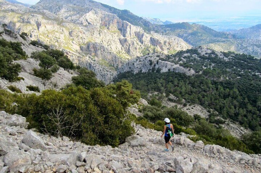 5-Hour Alpine Hiking Tour in Mallorca with Pick-up