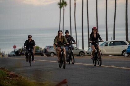 Guided South Coast Electric Bike Tour from Solana Beach to Torrey Pines