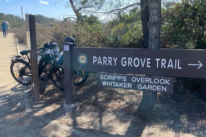 Guided South Coast Electric Bike Tour from Solana Beach to Torrey Pines 