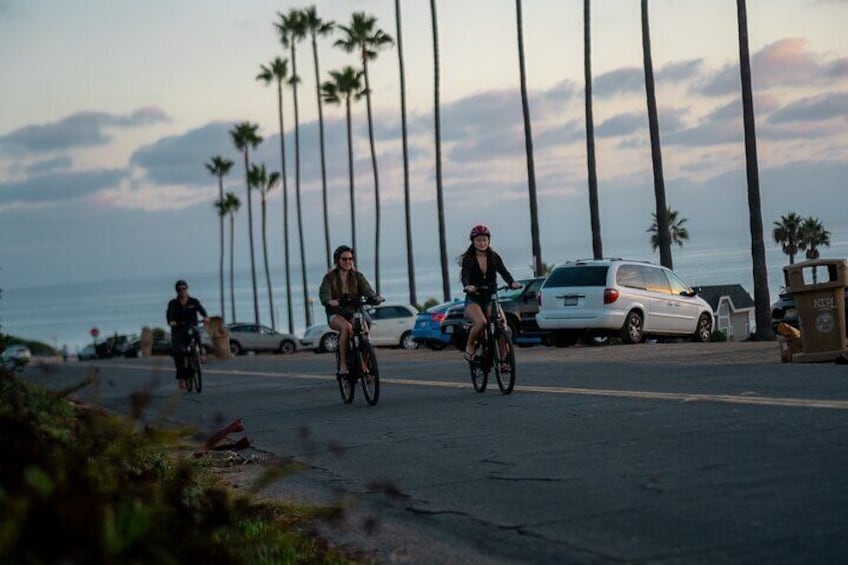 Guided South Coast Electric Bike Tour from Solana Beach to Torrey Pines 