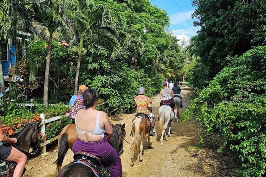 ATV & Horseback Riding Adventure in Roatan