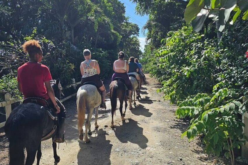 ATV & Horseback Riding Adventure in Roatan