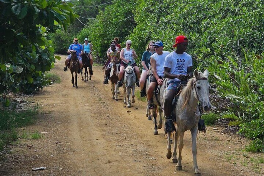 ATV & Horseback Riding Adventure in Roatan