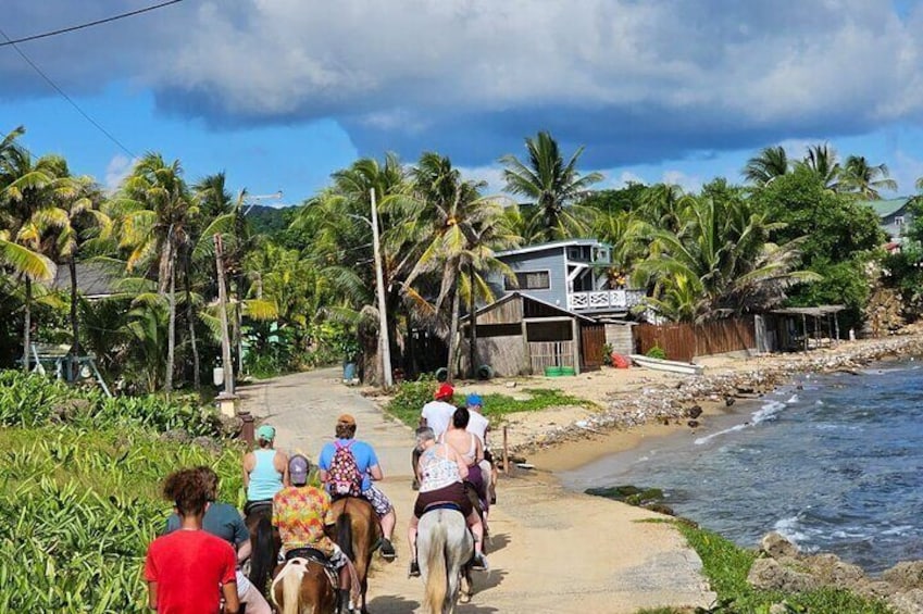 ATV & Horseback Riding Adventure in Roatan