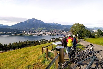 Panoramic E-Bike Tour with a Lake Cruise