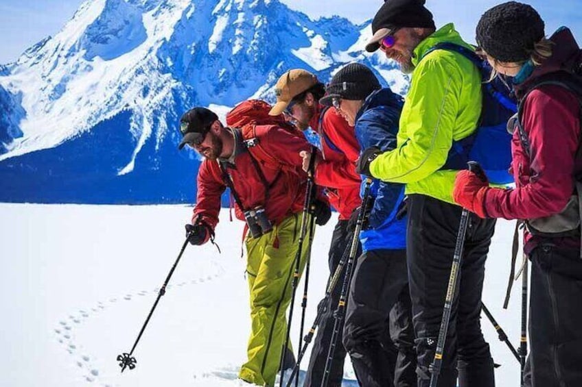 Private 4 hour Snowshoe in Grand Teton National Park