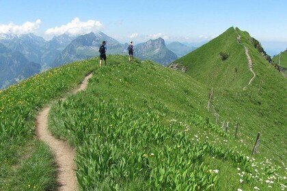 Peak to Peak Private Hiking Tour from Lucerne