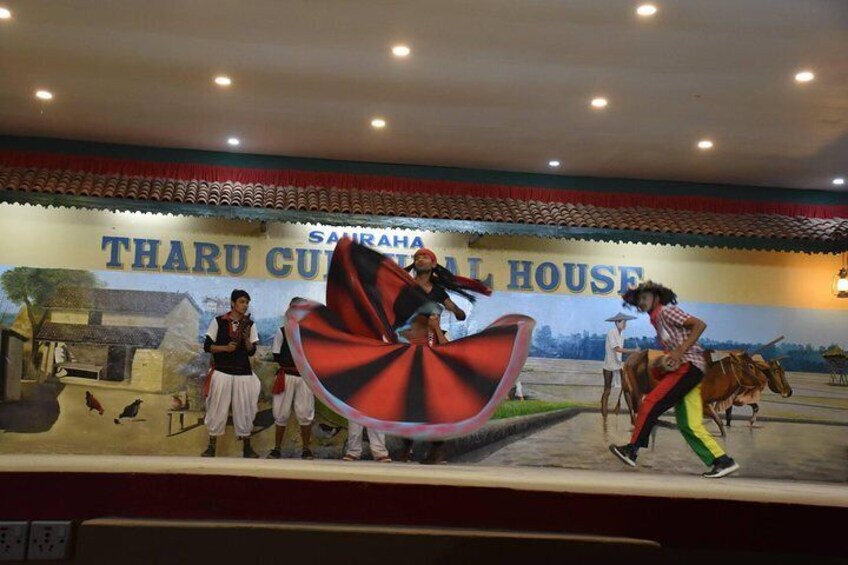 Local Tharu Dance