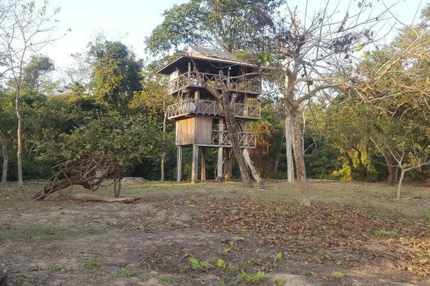 Jungle Towernight Stay In Chitwan National Park ,nepal-2 Nights 3 Days Package