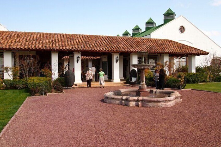 Full-Day Viña Casas del Bosque Private Guided Tour from Santiago