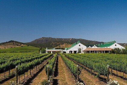 Casas del Bosque Vineyard with Lunch Menu included from Santiago