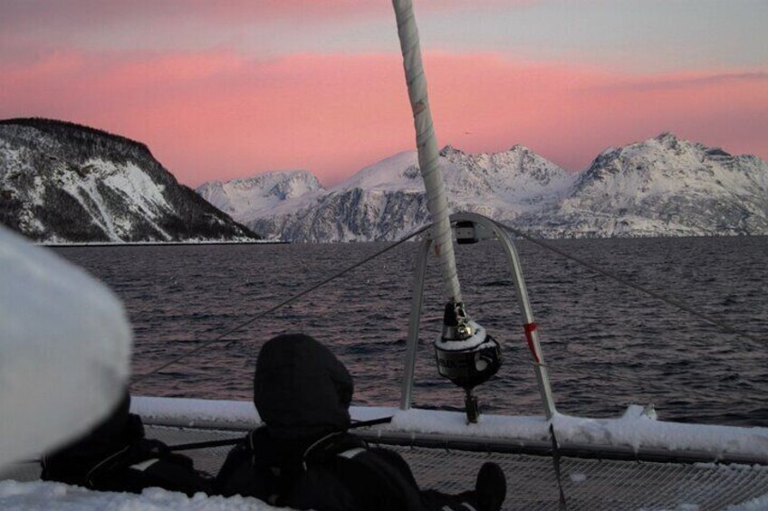 History Fjordcruise Around The Isle Of Tromso - Luxury Catamaran