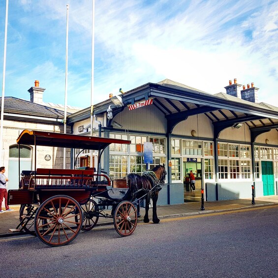 Picture 2 for Activity Killarney: Guided Tour with Afternoon Tea