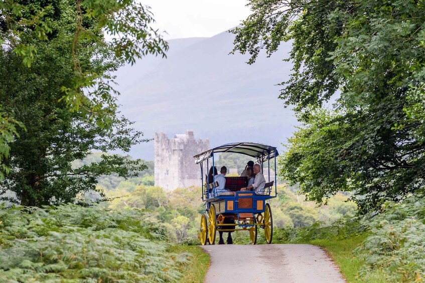 Picture 4 for Activity Killarney Jaunting Car Tour with Afternoon Tea