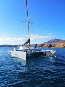 Excursió en catamarà de vela des del sud de Lanzarote